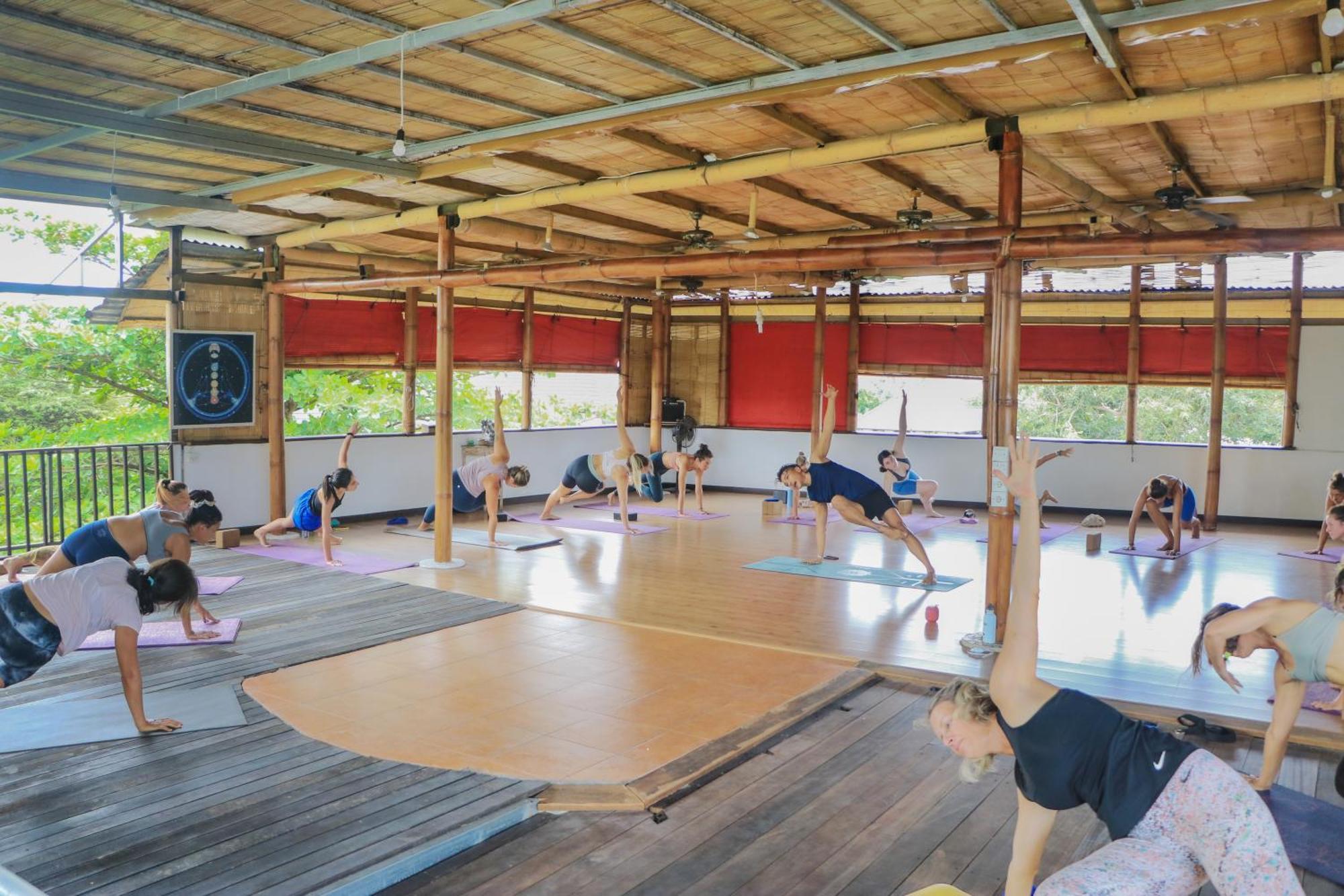 Serenity Eco Guesthouse - Chse Certified Canggu Kültér fotó