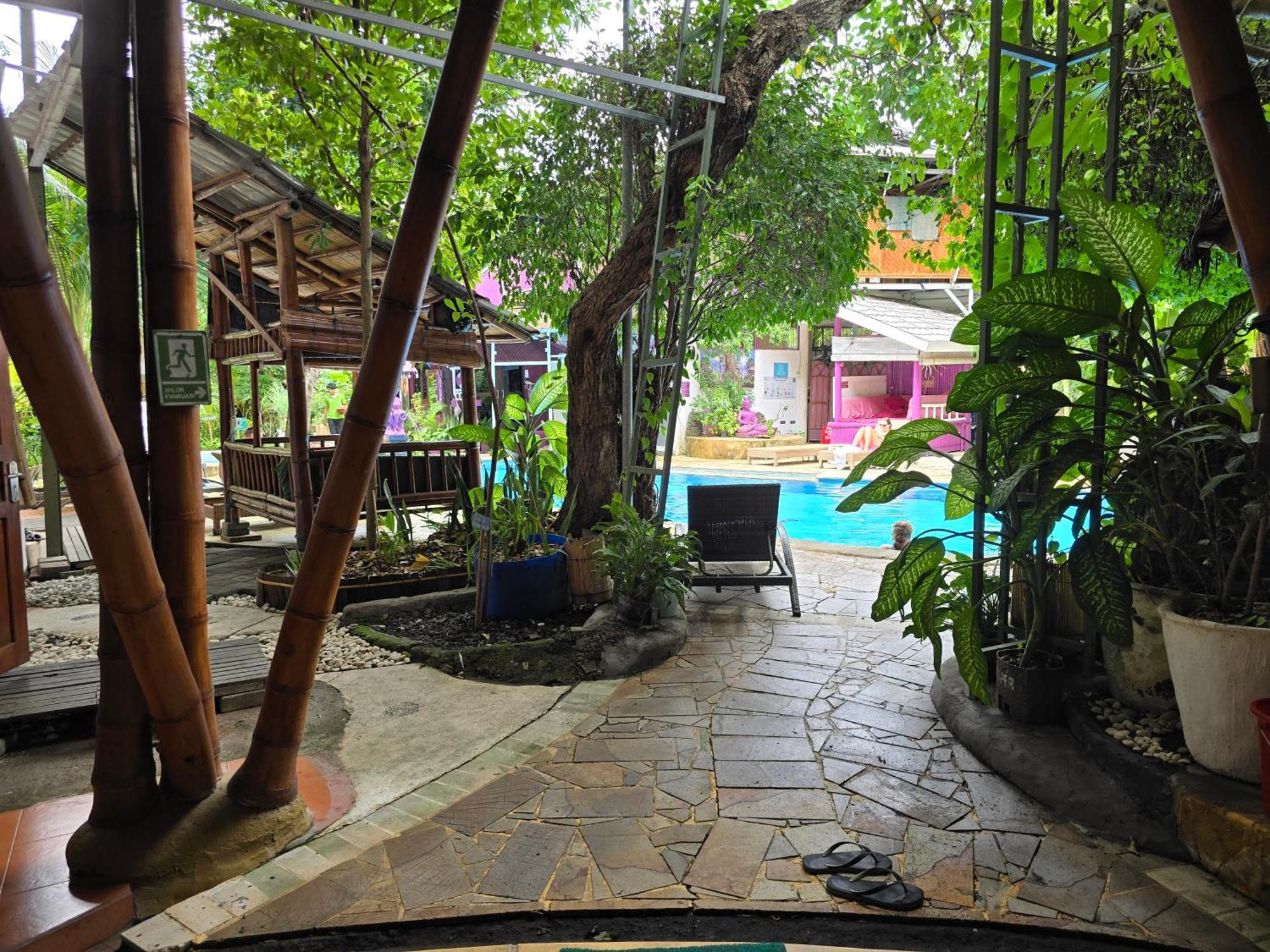 Serenity Eco Guesthouse - Chse Certified Canggu Kültér fotó